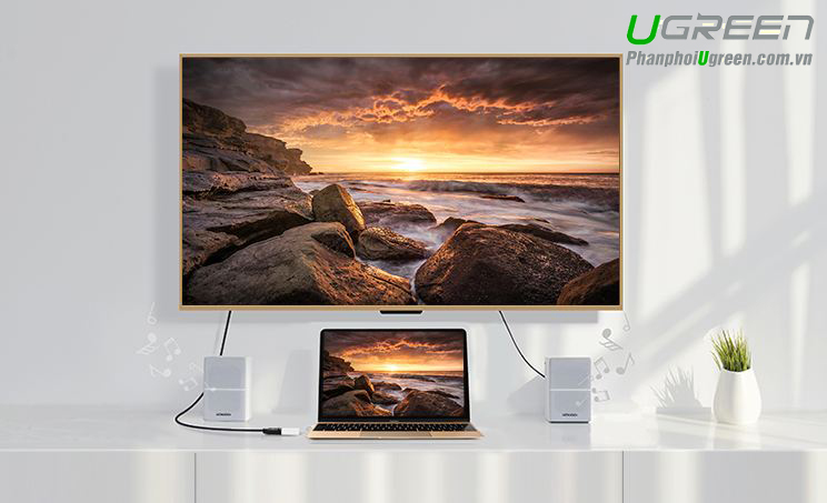 Cáp chuyển đổi USB Type C to Displayport (âm) Ugreen 40372 cao cấp